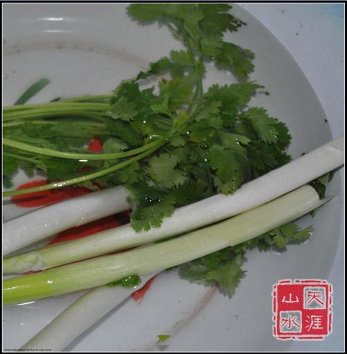 �ݽ����������