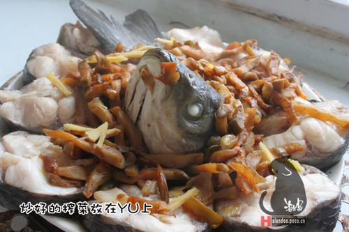 ե�����������