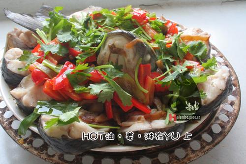 ե�����������