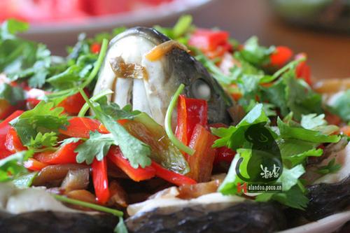 ե�����������