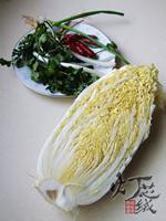 ����ײ��ĵ�����