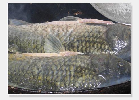 ��ĭ�㹽�������