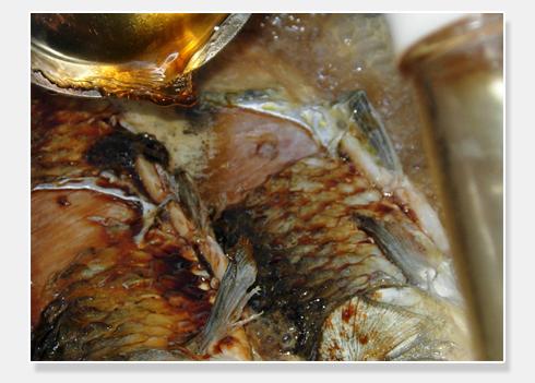 ��ĭ�㹽�������