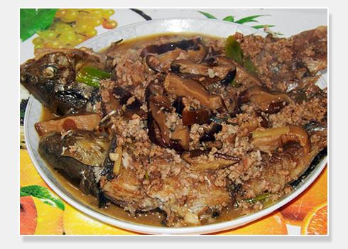 ��ĭ�㹽�������