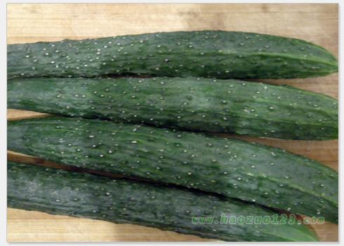 պ����ƹϵ�����