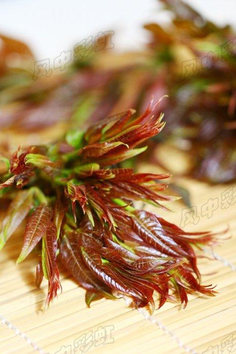 �㴻����������