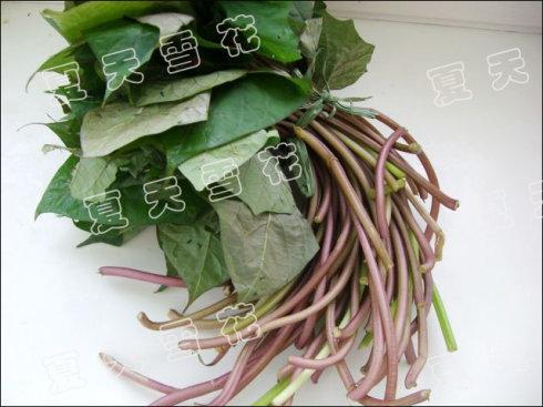 仔姜炒红薯藤的做法