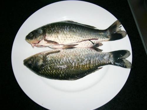 �п������������