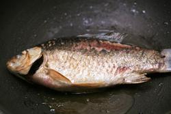 ţ��ľ�����������