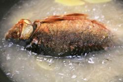 ţ��ľ�����������