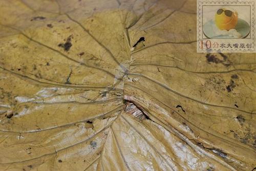 ����Ŵ�׼�������