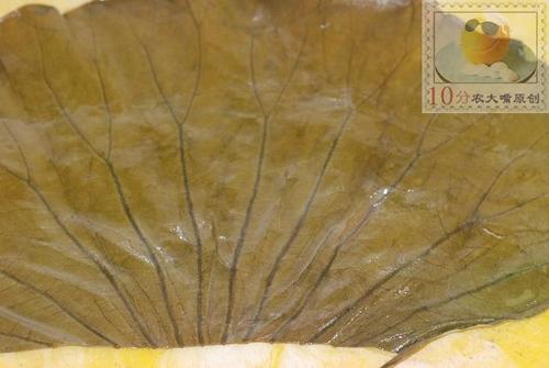 ����Ŵ�׼�������