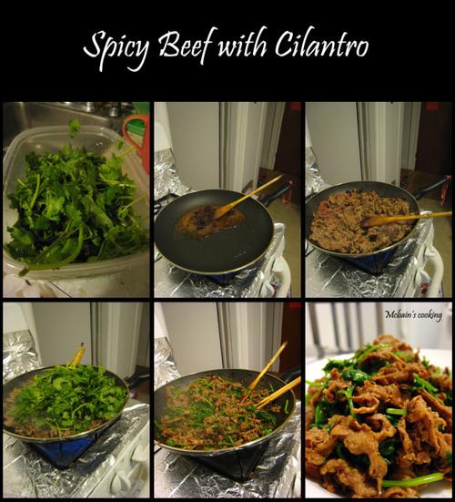 ������ţ������