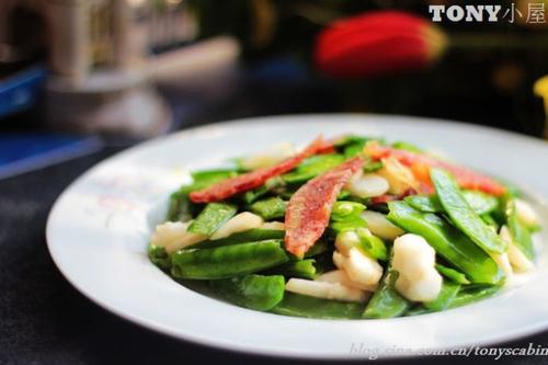 ݩ����������������