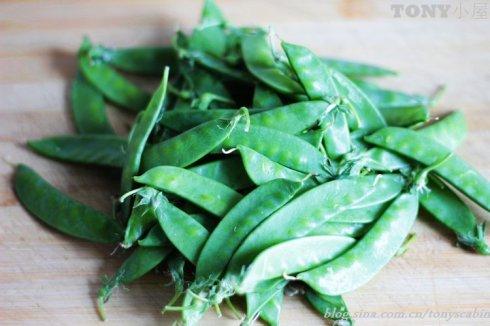 ݩ����������������