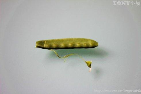 ݩ����������������