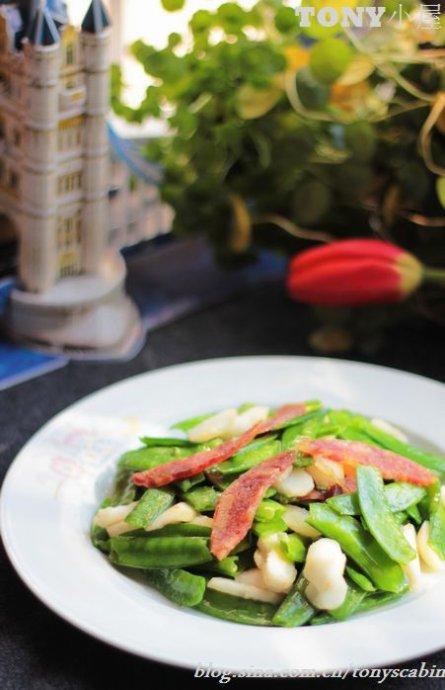 ݩ����������������