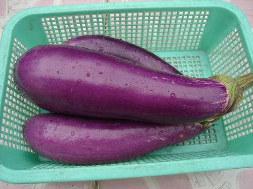 ̩ʽ���������ӵ�����