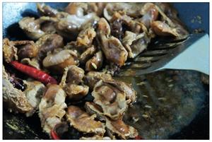 �������ӵ�����