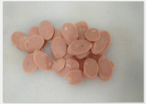 ������Ƭ��������