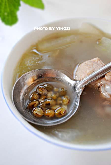 冬瓜绿豆排骨汤的做法