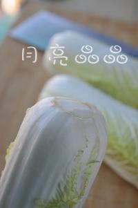 ʯ���������޲˵�����