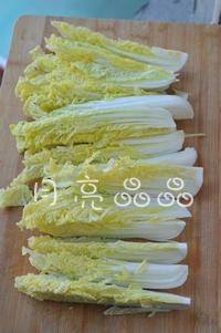 ʯ���������޲˵�����