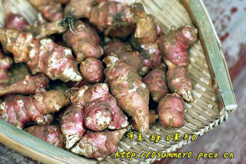 ���󽪵�����