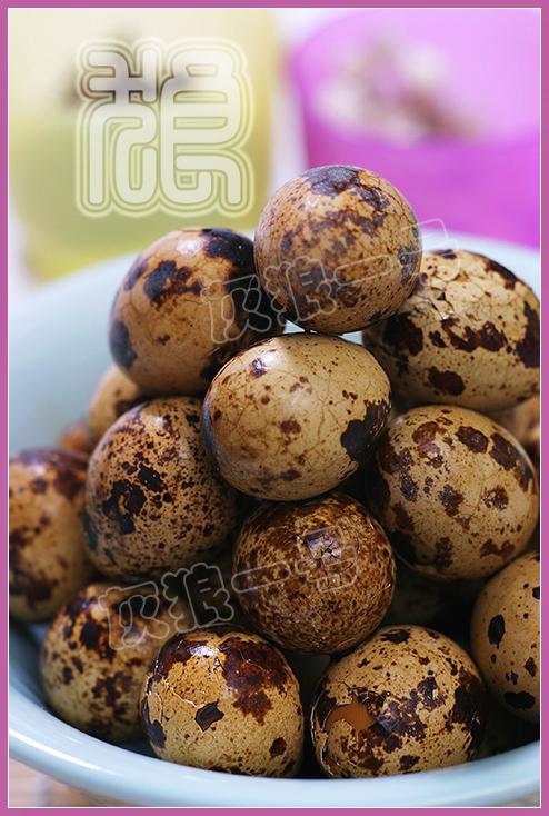 ��±���ȵ�������