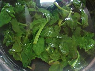 ����Ƭ�齴���˵�����