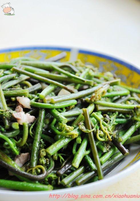 蕨菜炒肉末的做法