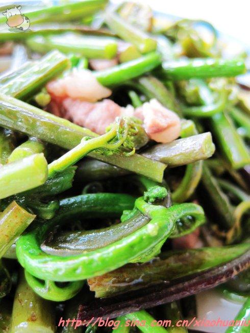蕨菜炒肉末的做法