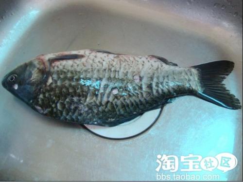 ����ľ���ܲ���������