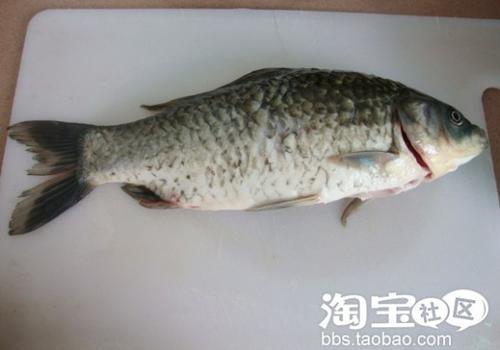 ����ľ���ܲ���������