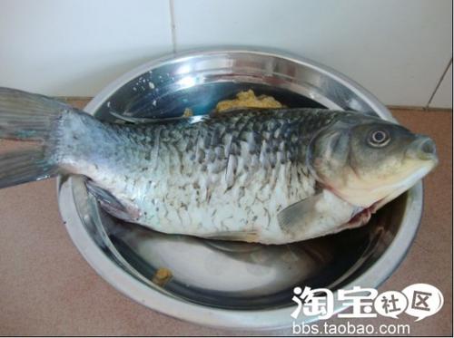 ����ľ���ܲ���������