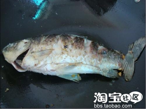 ����ľ���ܲ���������