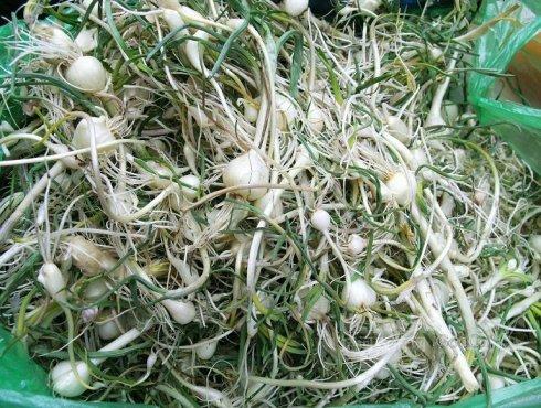 宅蒜炒鸡蛋的做法