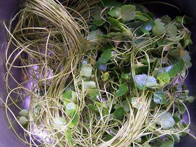 ������ĸ�ٵ�����