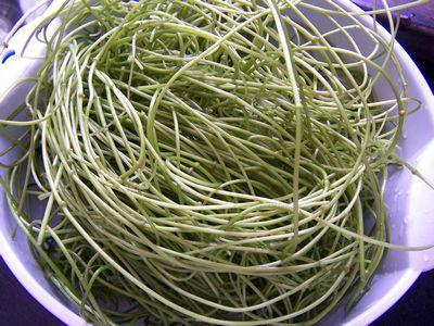 ������ĸ�ٵ�����