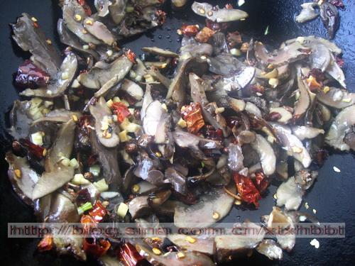 ��Ѭ��Ƭ������