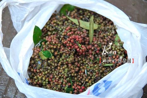 ˱ָ����Ѽ������