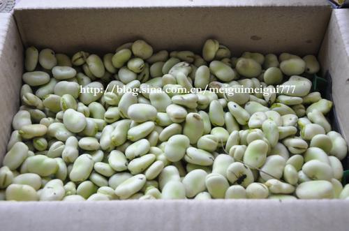 ����󶹵�����