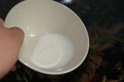 ��Ȼţ��������