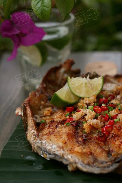 ̩ʽ���ʿ��������