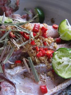 ̩ʽ���ʿ��������