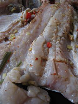 ̩ʽ���ʿ��������