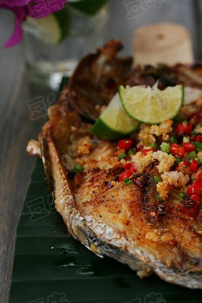 ̩ʽ���ʿ��������