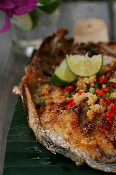 ̩ʽ���ʿ��������