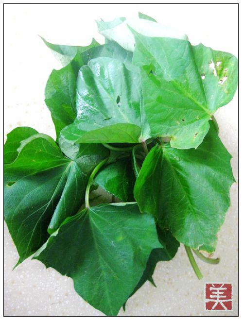 �峴ެ��Ҷ������