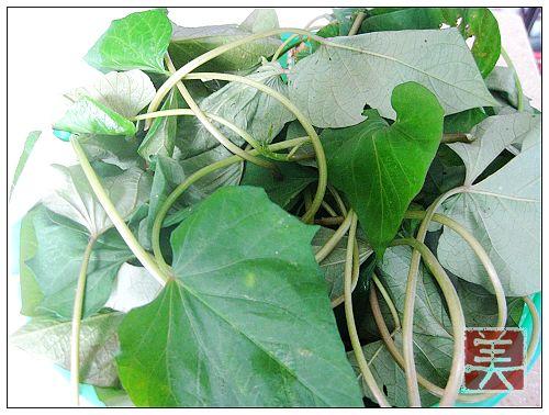 �峴ެ��Ҷ������